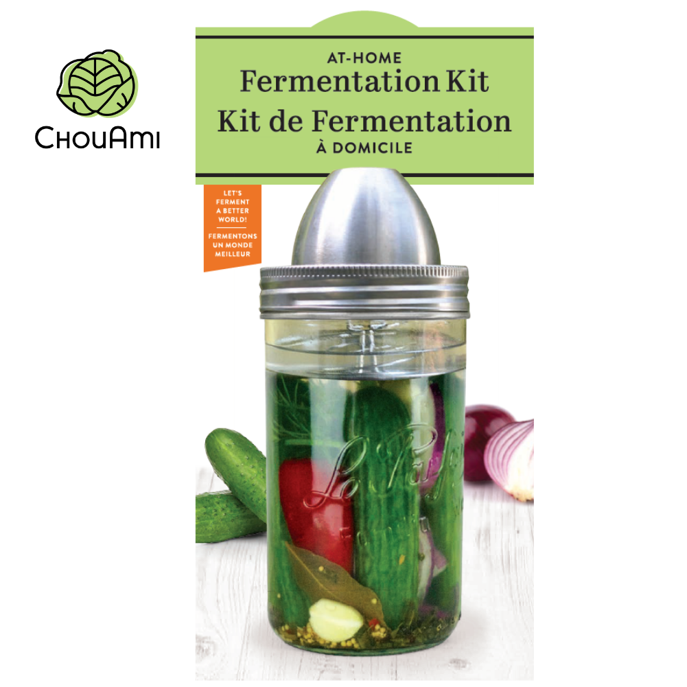 The Best Jar Opener to Buy - My Fermented Foods