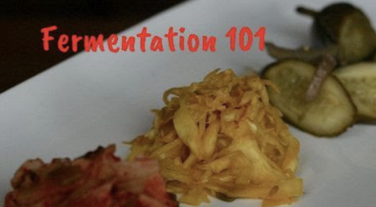 Nov 14, 2020 - Fermentation 101 FREE Webinar (Recording Available)