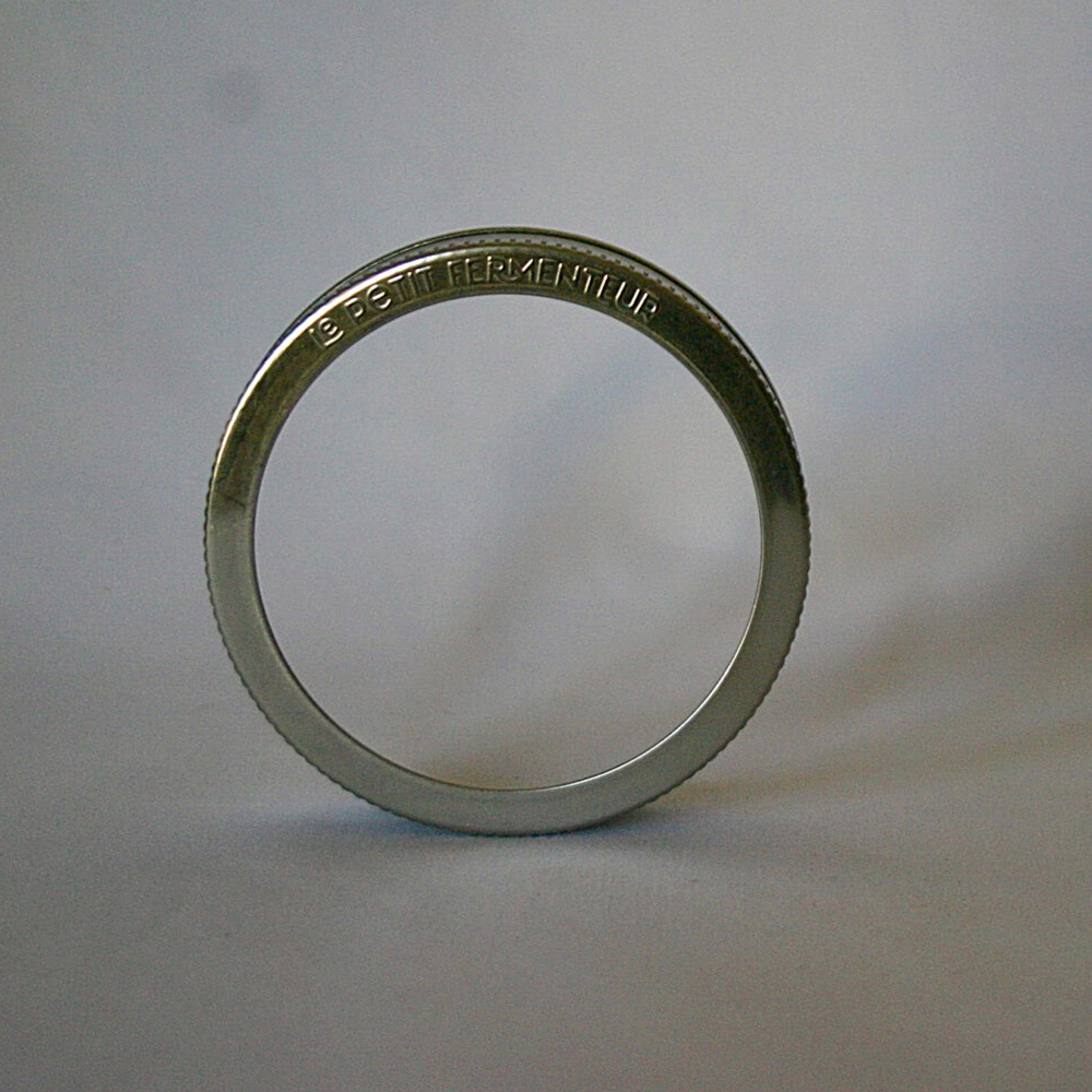 Replacement Stainless Steel Ring